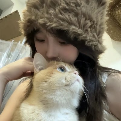 树袋熊