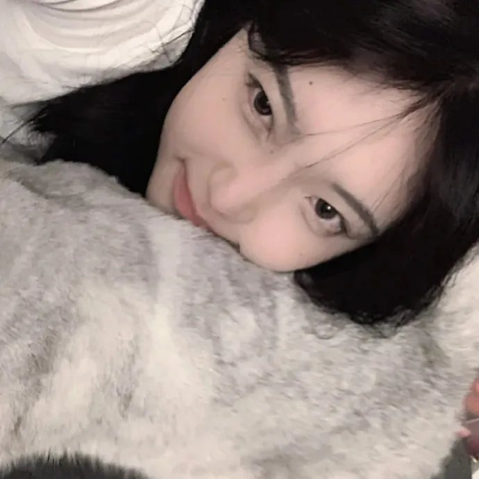 石纪元第三季